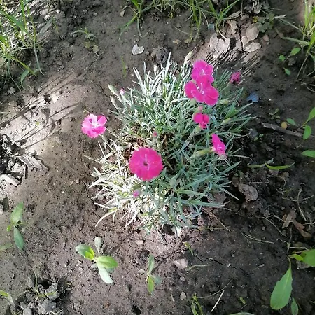 Visitorscenter * Ivanovo