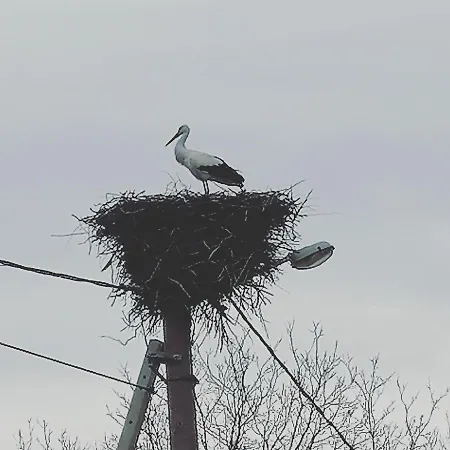 Visitorscenter Ivanovo