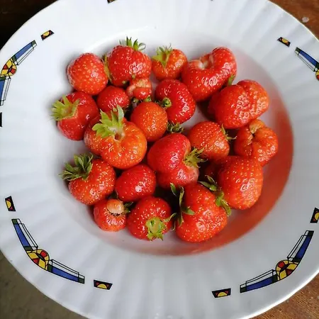 Visitorscenter Сasa de vacaciones *