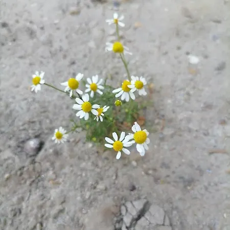 Visitorscenter Сasa de vacaciones Ivanovo