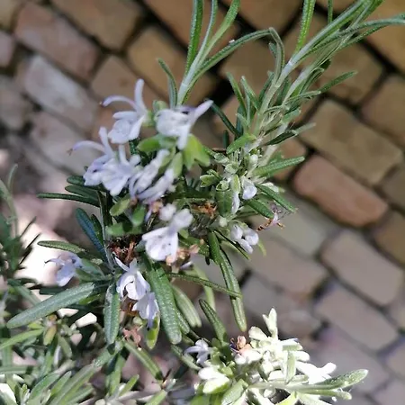 Сasa de vacaciones Visitorscenter *