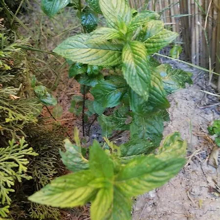 Сasa de vacaciones Visitorscenter *