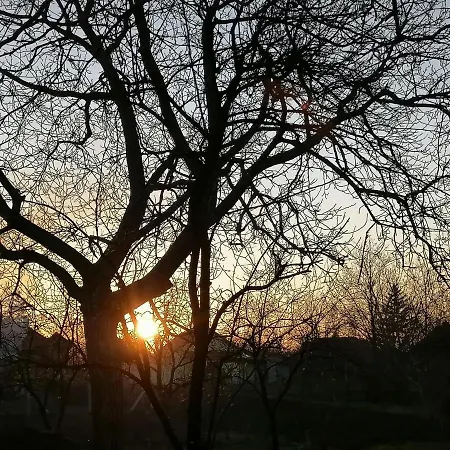 Сasa de vacaciones Visitorscenter