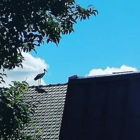 Сasa de vacaciones Visitorscenter