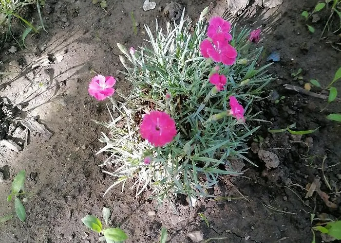 Visitorscenter * Ivanovo