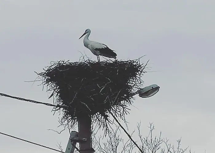 Visitorscenter Ivanovo