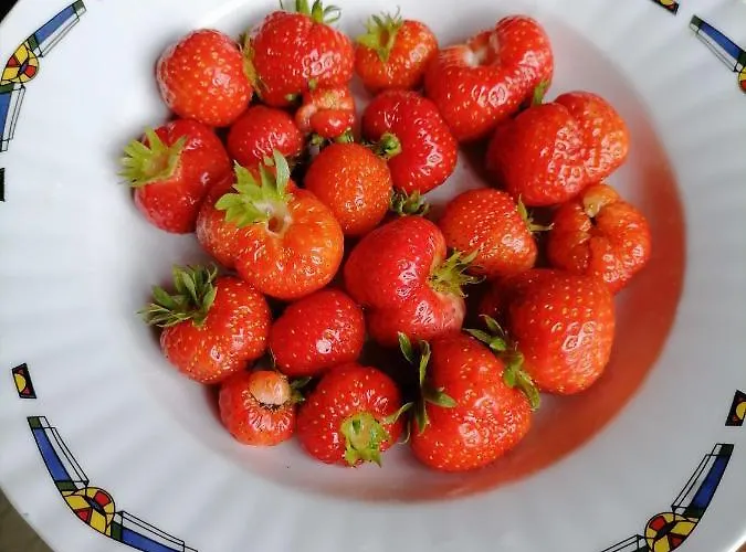 Visitorscenter 펜션 *