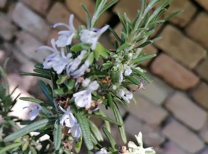 펜션 Visitorscenter *