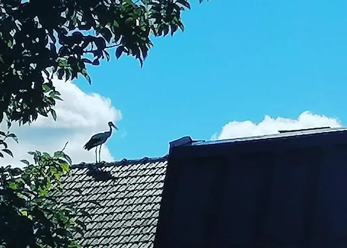 펜션 Visitorscenter